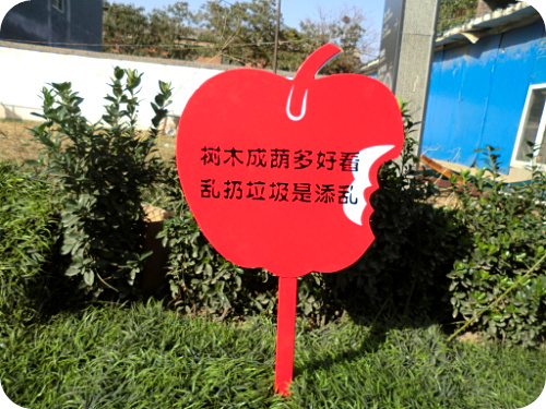 山东草地牌