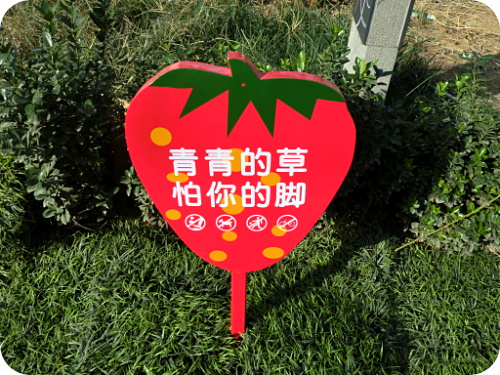 山东草地牌子