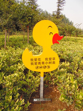 花草牌山东
