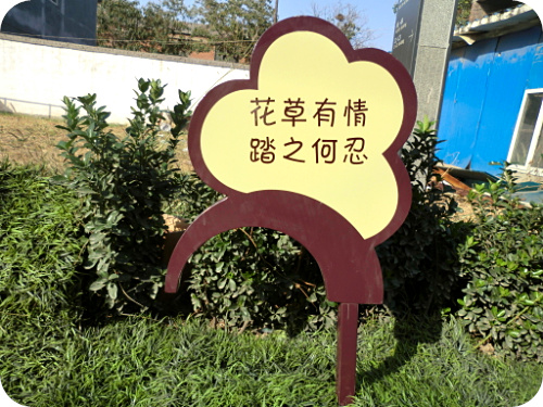 花草牌山东