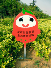 山东草地牌子